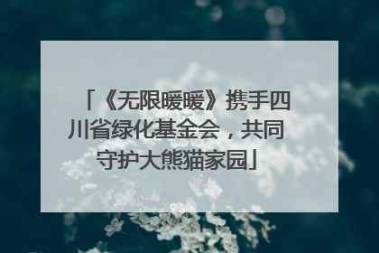 《无限暖暖》携手四川省绿化基金会，共同守护大熊猫家园