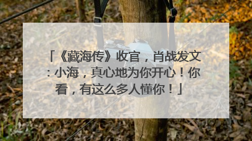 《藏海传》收官，肖战发文：小海，真心地为你开心！你看，有这么多人懂你！