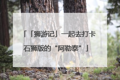 「狮游记」一起去打卡石狮版的“阿勒泰”