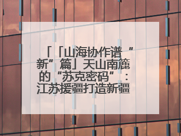 「山海协作谱“新”篇」天山南簏的“苏克密码”：江苏援疆打造新疆克州制造新引擎