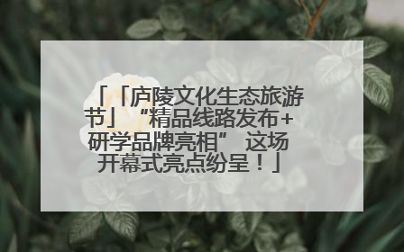 「庐陵文化生态旅游节」“精品线路发布+研学品牌亮相” 这场开幕式亮点纷呈！