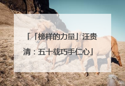 「榜样的力量」汪贵清：五十载巧手仁心
