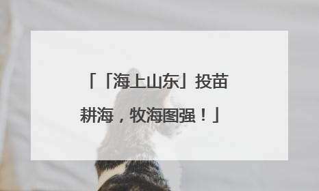 「海上山东」投苗耕海，牧海图强！