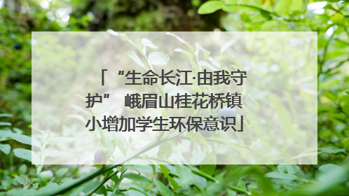 “生命长江·由我守护” 峨眉山桂花桥镇小增加学生环保意识