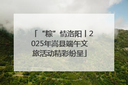 “粽”情洛阳丨2025年嵩县端午文旅活动精彩纷呈