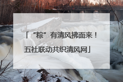 “粽”有清风拂面来！五社联动共织清风网