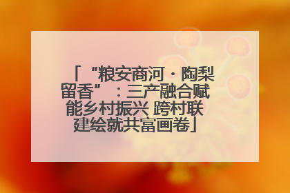 “粮安商河・陶梨留香”：三产融合赋能乡村振兴 跨村联建绘就共富画卷