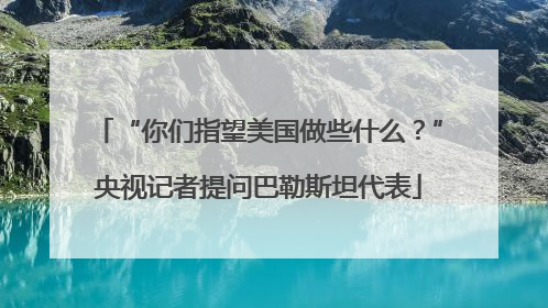 “你们指望美国做些什么？”央视记者提问巴勒斯坦代表