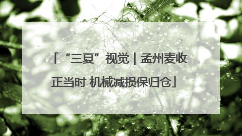 “三夏”视觉｜孟州麦收正当时 机械减损保归仓