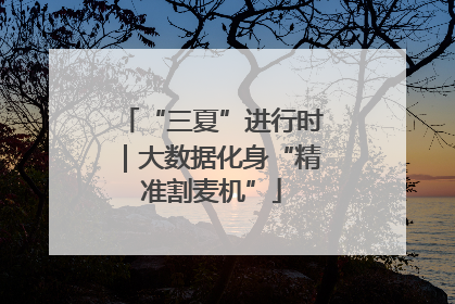 “三夏”进行时｜大数据化身“精准割麦机”