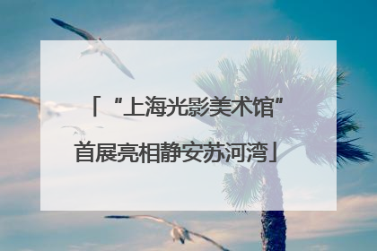 “上海光影美术馆”首展亮相静安苏河湾