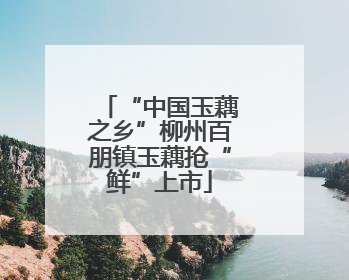 “中国玉藕之乡”柳州百朋镇玉藕抢“鲜”上市