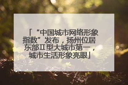 “中国城市网络形象指数”发布，扬州位居东部Ⅱ型大城市第一，城市生活形象亮眼