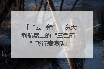 “云中箭”：意大利航展上的“三色箭”飞行表演队