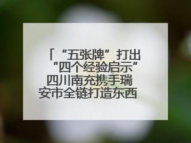 “五张牌”打出“四个经验启示” 四川南充携手瑞安市全链打造东西部“消费协作”