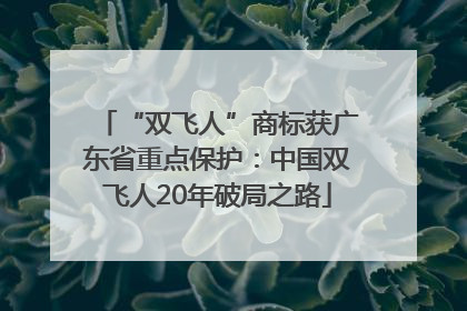“双飞人”商标获广东省重点保护：中国双飞人20年破局之路