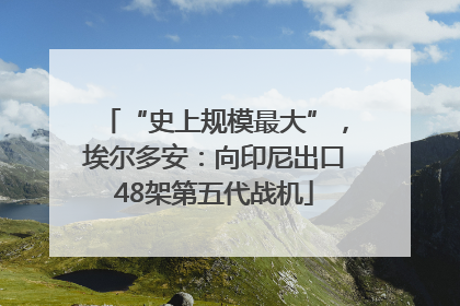“史上规模最大”，埃尔多安：向印尼出口48架第五代战机