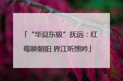“华夏东极”抚远：红莓映朝阳 界江听熊吟