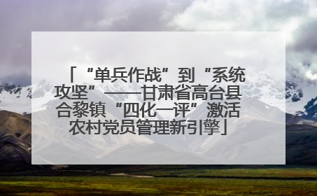 “单兵作战”到“系统攻坚”——甘肃省高台县合黎镇“四化一评”激活农村党员管理新引擎