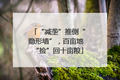 “减垄”推倒“隐形墙”，百亩地“捡”回十亩粮