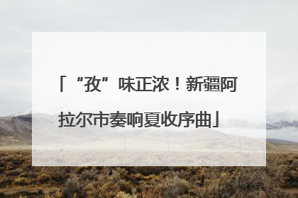 “孜”味正浓！新疆阿拉尔市奏响夏收序曲