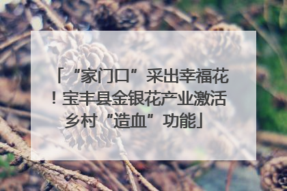 “家门口”采出幸福花！宝丰县金银花产业激活乡村“造血”功能