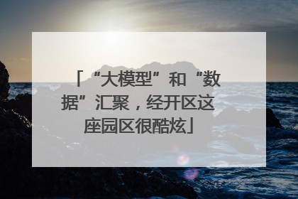 “大模型”和“数据”汇聚，经开区这座园区很酷炫