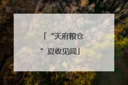 “天府粮仓”夏收见闻