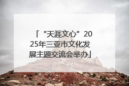 “天涯文心”2025年三亚市文化发展主题交流会举办