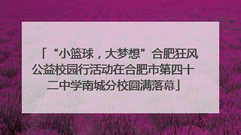 “小篮球，大梦想”合肥狂风公益校园行活动在合肥市第四十二中学南城分校圆满落幕