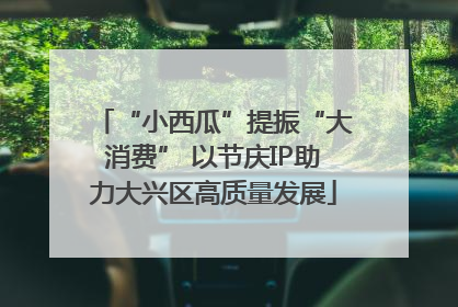 “小西瓜”提振“大消费” 以节庆IP助力大兴区高质量发展
