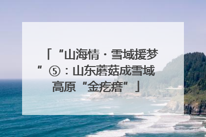 “山海情・雪域援梦”⑤：山东蘑菇成雪域高原“金疙瘩”