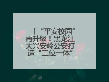 “平安校园”再升级！黑龙江大兴安岭公安打造“三位一体”守护新模式
