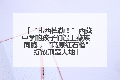“扎西德勒！”西藏中学的孩子们遇上藏族同胞，“高原红石榴”绽放荆楚大地