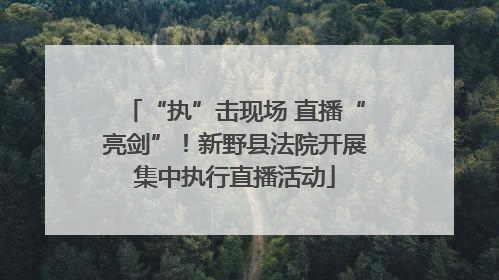 “执”击现场 直播“亮剑”！新野县法院开展集中执行直播活动