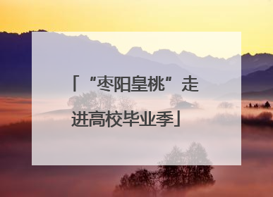 “枣阳皇桃”走进高校毕业季