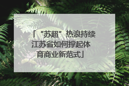 “苏超”热浪持续 江苏省如何撑起体育商业新范式