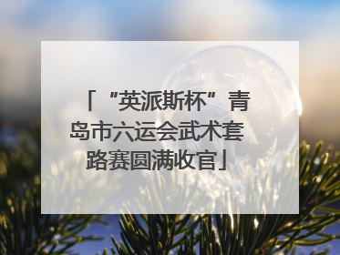 “英派斯杯”青岛市六运会武术套路赛圆满收官