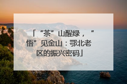 “茶”山醒绿，“悟”见金山：鄂北老区的振兴密码