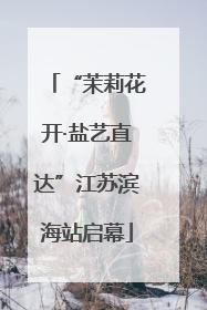 “茉莉花开·盐艺直达”江苏滨海站启幕