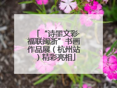 “诗墨文彩·福联闽浙”书画作品展（杭州站）精彩亮相
