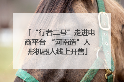 “行者二号”走进电商平台 “河南造”人形机器人线上开售