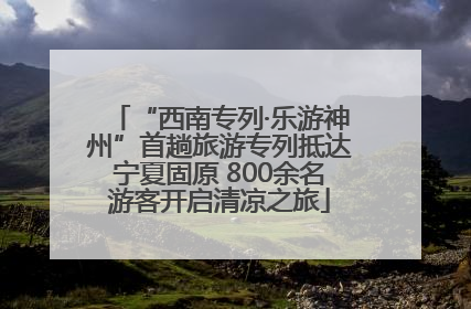 “西南专列·乐游神州”首趟旅游专列抵达宁夏固原 800余名游客开启清凉之旅