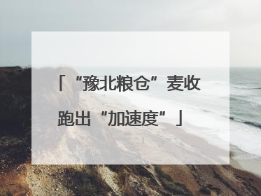 “豫北粮仓”麦收跑出“加速度”