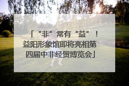 “非”常有“益”！益阳形象馆即将亮相第四届中非经贸博览会