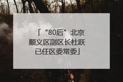 “80后”北京顺义区副区长杜跃已任区委常委