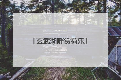 玄武湖畔赏荷乐
