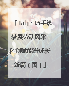 玉山：巧手筑梦展劳动风采 科创赋能谱成长新篇（图）