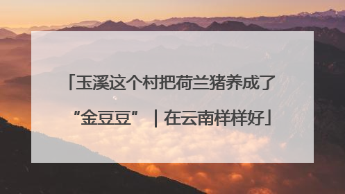 玉溪这个村把荷兰猪养成了“金豆豆”｜在云南样样好