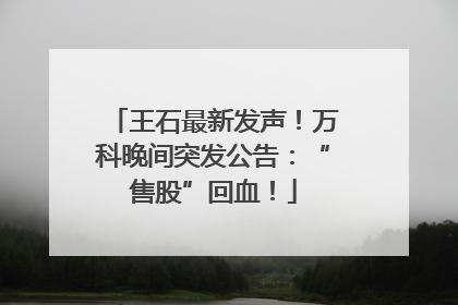 王石最新发声！万科晚间突发公告：“售股”回血！